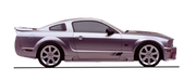 Saleen S-281